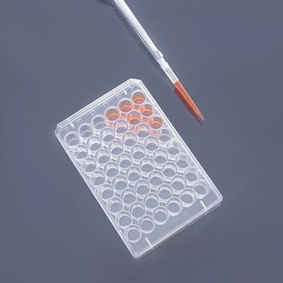 Cell Culture Plates With Treated Culture Surface And Plates 6 12 24 48 And 96 Wells With Flat Bottoms